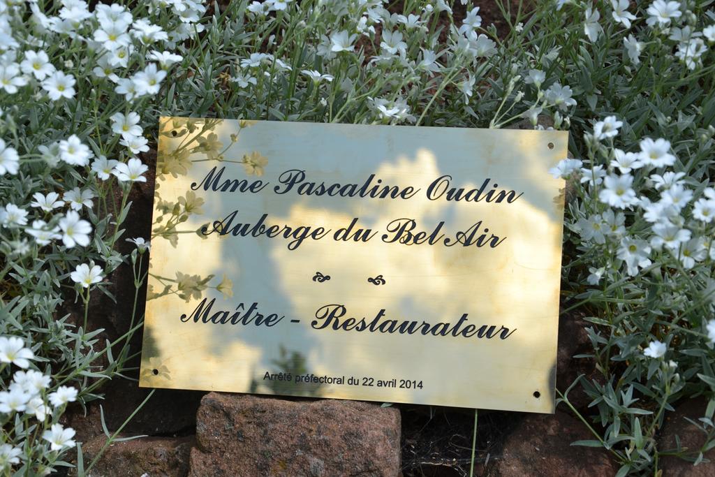 Auberge Du Bel Air Abreschviller Kültér fotó